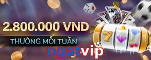 ngatvip