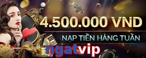 ngatvip