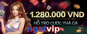 ngatvip