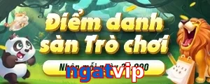 ngatvip