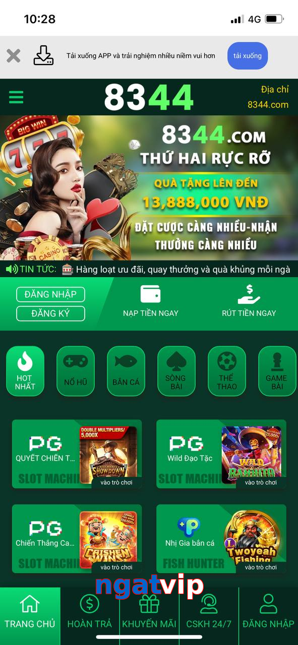 ngatvip