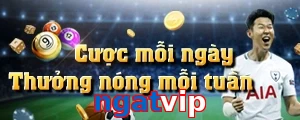 ngatvip